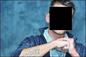 Qui chante  Les mots  ? (2012)