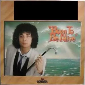 Qui chante  Born to be alive  ? (1979)