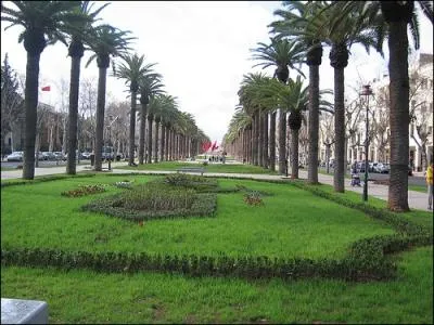 Quelle est la date et le lieu de sa naissance ?