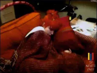 Comment appelle-t-on les fans d'Hayley (et de Paramore) ?