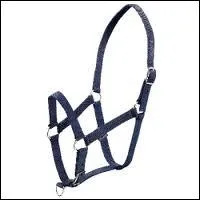 Quel lment relie la muserolle  la sous-gorge ?