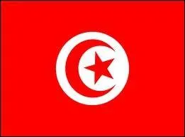 A quel pays appartient ce drapeau ?