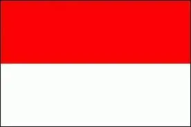 A quel pays appartient ce drapeau ?