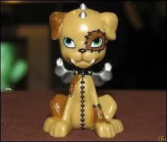 A qui appartient cet animal ?