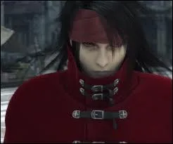 De quoi Vincent a-t-il besoin ?