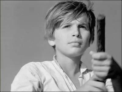  Crin-Blanc  relate l'histoire :