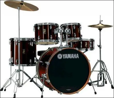 Qui joue de cet instrument ?