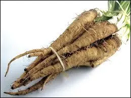 Quels sont ces lgumes ?