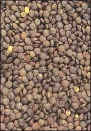 Quels sont ces lgumes ?