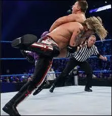 Quelle est cette prise de finition ?