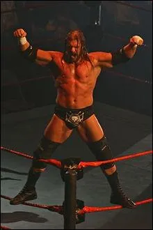 Quel est ce catcheur ?