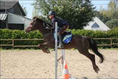 Quel est le record du monde de saut d'obstacle ?
