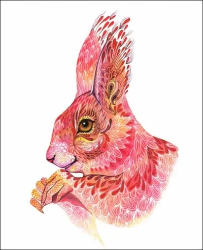 On dit qu'il adore les noisettes !