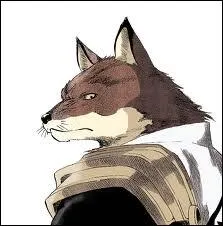 Quelle est la race animale de Sajin Komamura ?