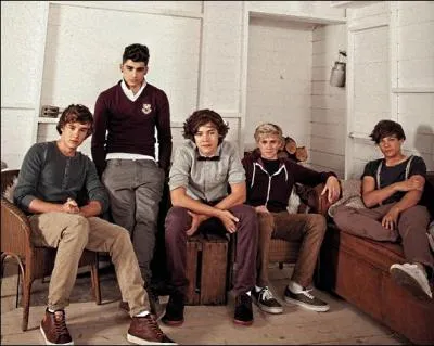 Dans quel clip les voit-on marcher dans la nature, runis autour d'un feu de camp et observer un feu d'artifice ?