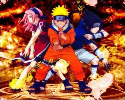 A qui fait penser l'quipe 7 (Naruto, Sakura et Sasuke) ?