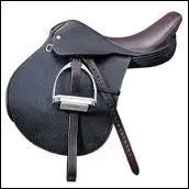 Quelle partie de la selle n'existe pas ?