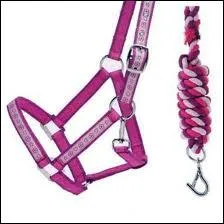 Quelle partie du licol existe ?