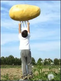 Manger de trs bon apptit, c'est :