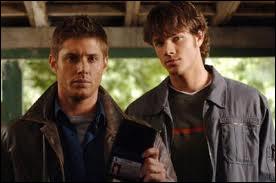 Dans quelle srie retrouve-t-on Sam et Dean ?