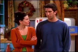 Dans quelle srie retrouve-t-on Monica et Ross ?