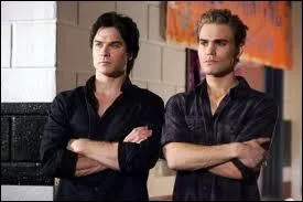 Dans quelle srie retrouve-t-on Damon et Stefan ?