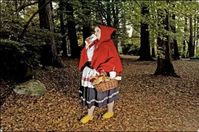 Aprs avoir tu et bouff le loup, cette petite demoiselle a continu  amener, les galettes  sa grand-mre, en oubliant pas d'en manger un petit peu sur le chemin, d'o quelques kilos en plus pour.