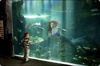 Aprs sa capture, vous pouvez aller admirer, cette jolie sirne  Nausicaa,  Boulogne-sur-Mer. Le prince Eric la cherche encore, chut. Qui est cette jolie sirne ?