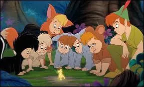 Comment appelle-t-on le groupe d'enfants que Peter Pan protge ?