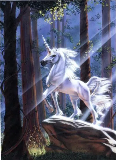 Et ce magnifique cheval à la corne unique ?