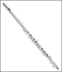 Quel est cet instrument ?