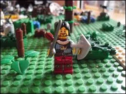 Il est le plus fidle compagnon de Frodon, grce  lui, ils traverseront toutes les preuves !