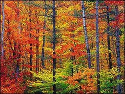 Quelle date correspond au signe de la balance ?