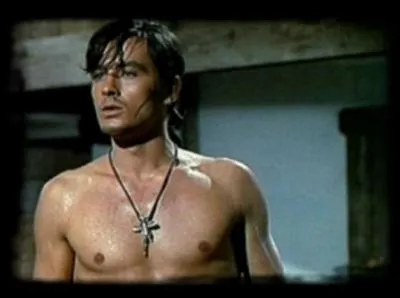 En 1963, Alain Delon tient le rle central de ´La Tulipe Noire´. Ce personnage se rapproche de ...