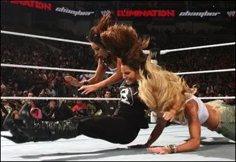 Qui excute ce  finisher  ?