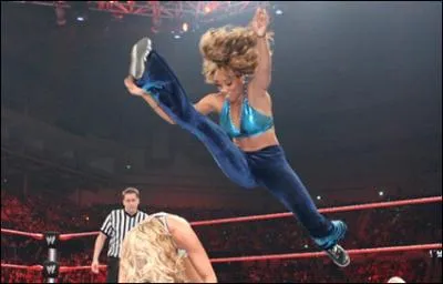 Qui excute ce  finisher  ?