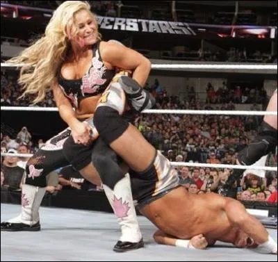 Qui excute ce  finisher  ?