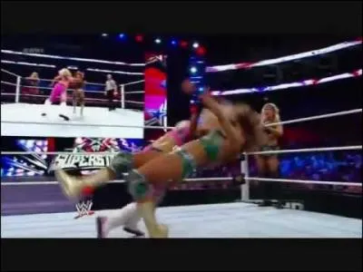 Qui excute ce  finisher  ?