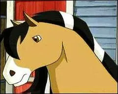 Comment s'appelle ce cheval ?