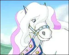 A qui appartient cette belle jument ?