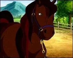 Comment s'appelle ce cheval, assez espigle ?