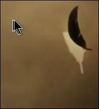  quelle priode de la journe dbute le conte ?