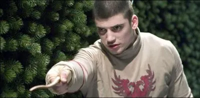 Sur qui Krum pointe-t-il sa baguette ? Attention au pige !