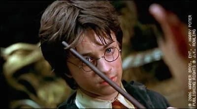 Qui pointe sa baguette sur Harry ?