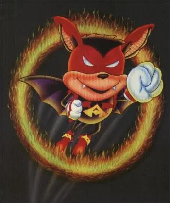 De quel jeu de plateforme est issu ce(s) personnage(s) ?