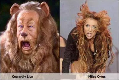 S'il vit en Asie, que peut dvorer le lion ?