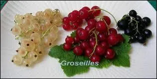 Le groseillier  maquereau est connu en Europe depuis le :