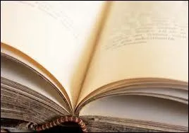 Qui a crit  Belle de jour  ?