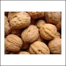 Les noix fraches peuvent-elle se dguster toute l'anne ?