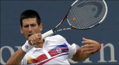Dans quel sport s'illustre Novak Djokovic ?